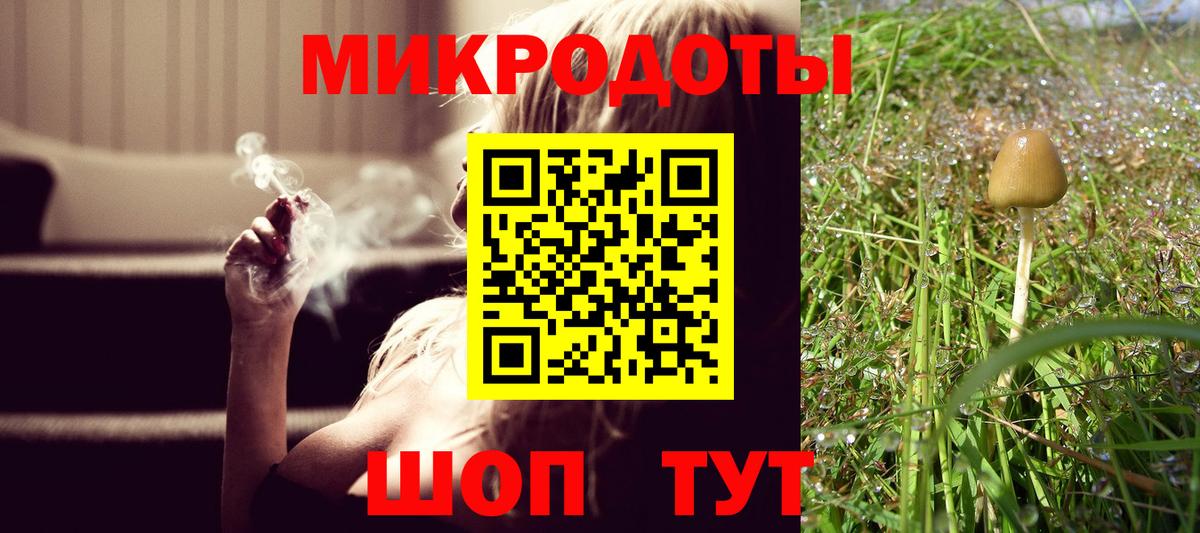 Псилоцибиновые грибы Cubensis Новозыбков