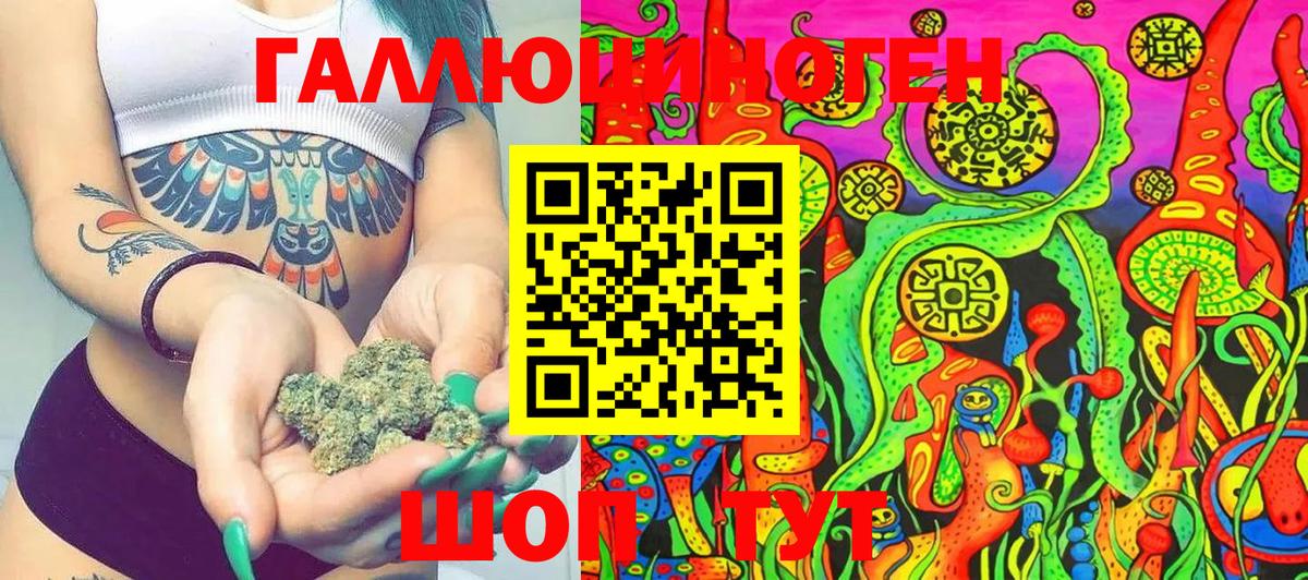 сколько стоит  Вход с VPN  Новозыбков  Псилоцибиновые грибы Psilocybe 